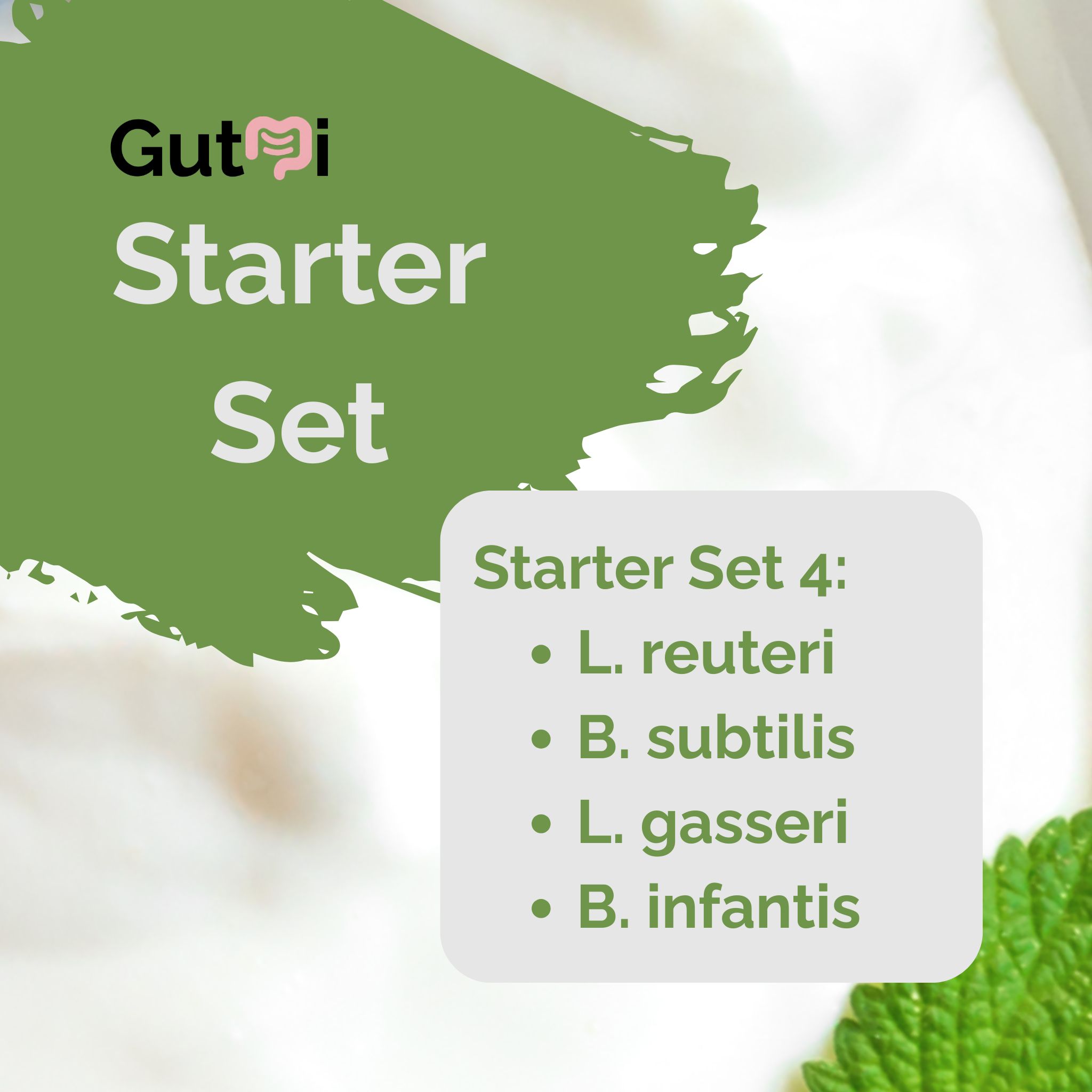 L. reuteri + B. subtilis + L. gasseri + B. infantis | Yogurt Starter Set | SIBO Stable | Starter Cultures | Pack of 3